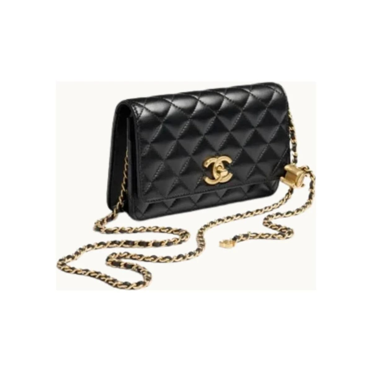 SMALL C BAG